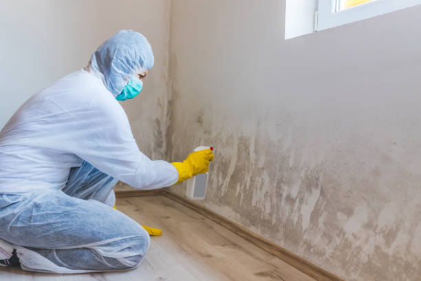 Mold Testing and Removal in Shoreacres, TX