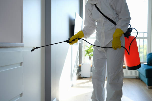 Best Emergency Mold Removal  in Shoreacres, TX